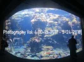 Free download Photography Vol. 4 [10-15-2017 - 5-24-2018] free photo or picture to be edited with GIMP online image editor